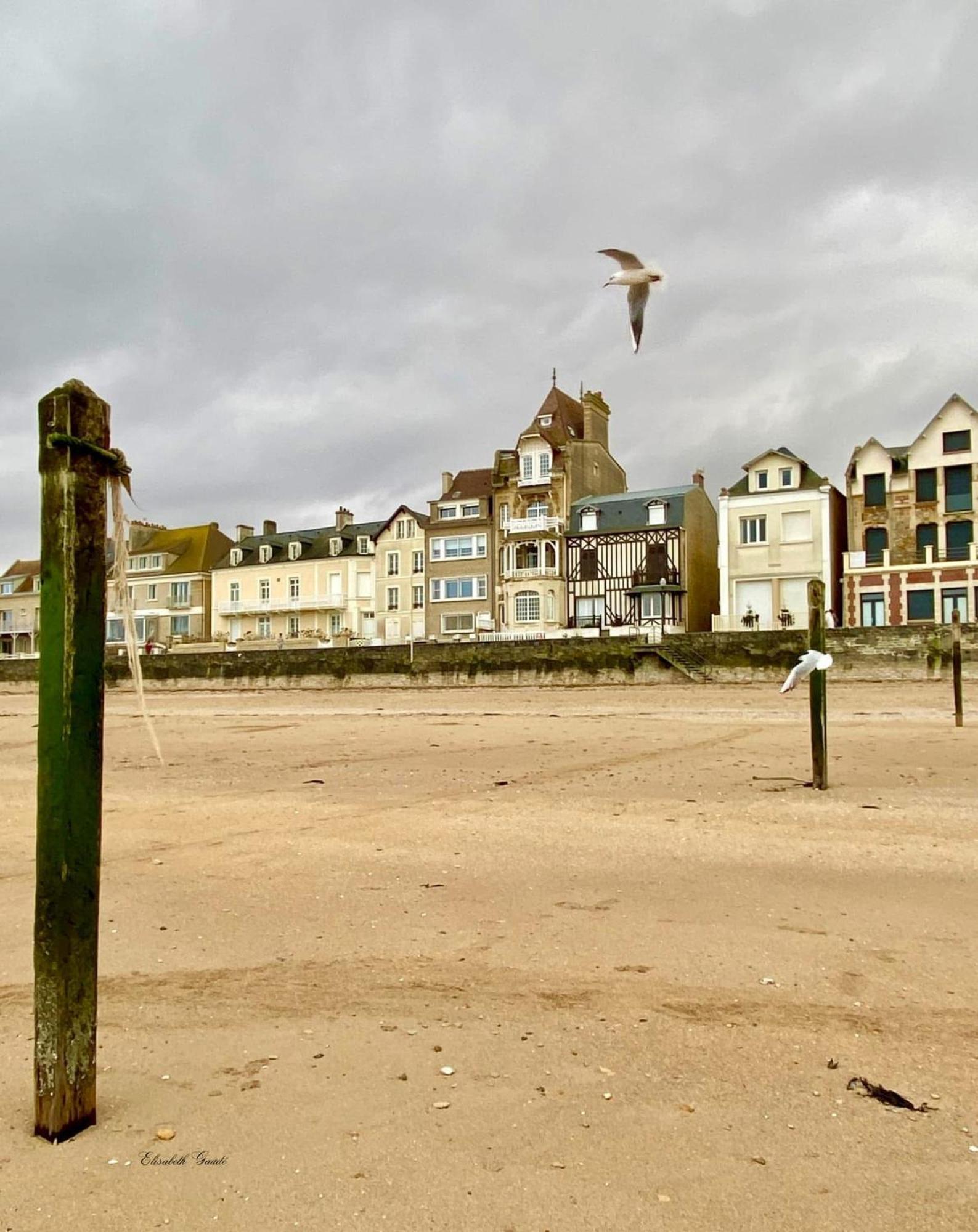 Saint-Aubin-Sur-Mer: Bel Appartement Traversant Kültér fotó